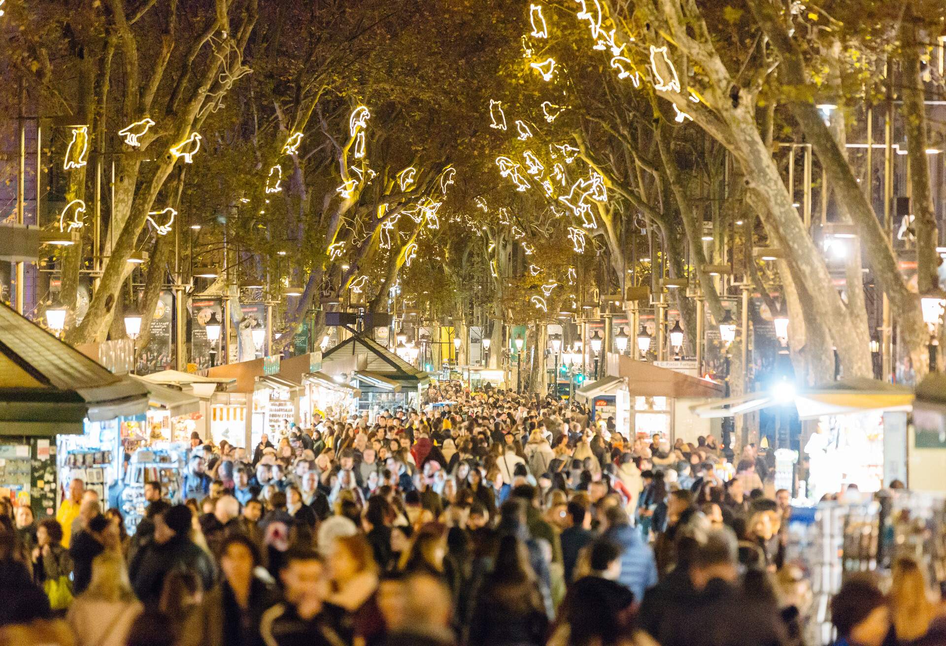 10 planes para hacer en Barcelona en Navidad KAYAK