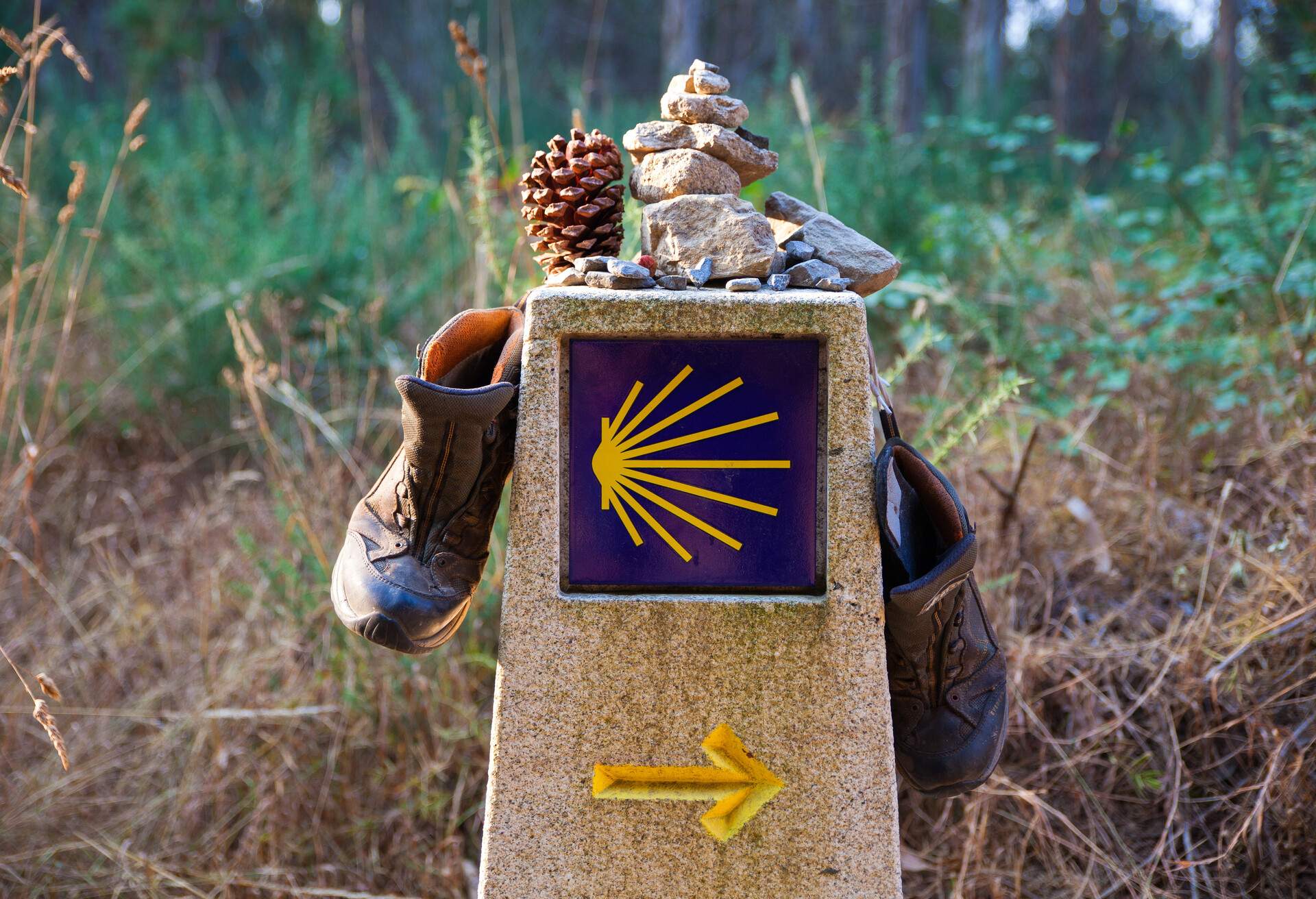 Hiking boots and stone on the stone signal, Symbol of the way of St. James ; Shutterstock ID 558797593