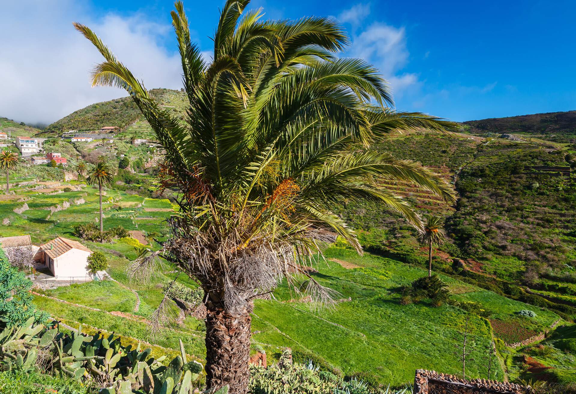 La Gomera