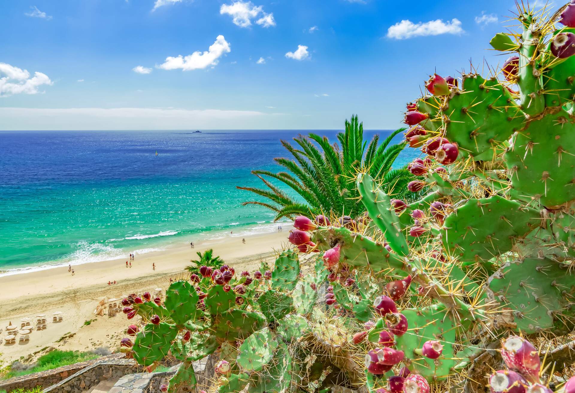 DEST_SPAIN_FUERTEVENTURA_ESQUINZO_shutterstock