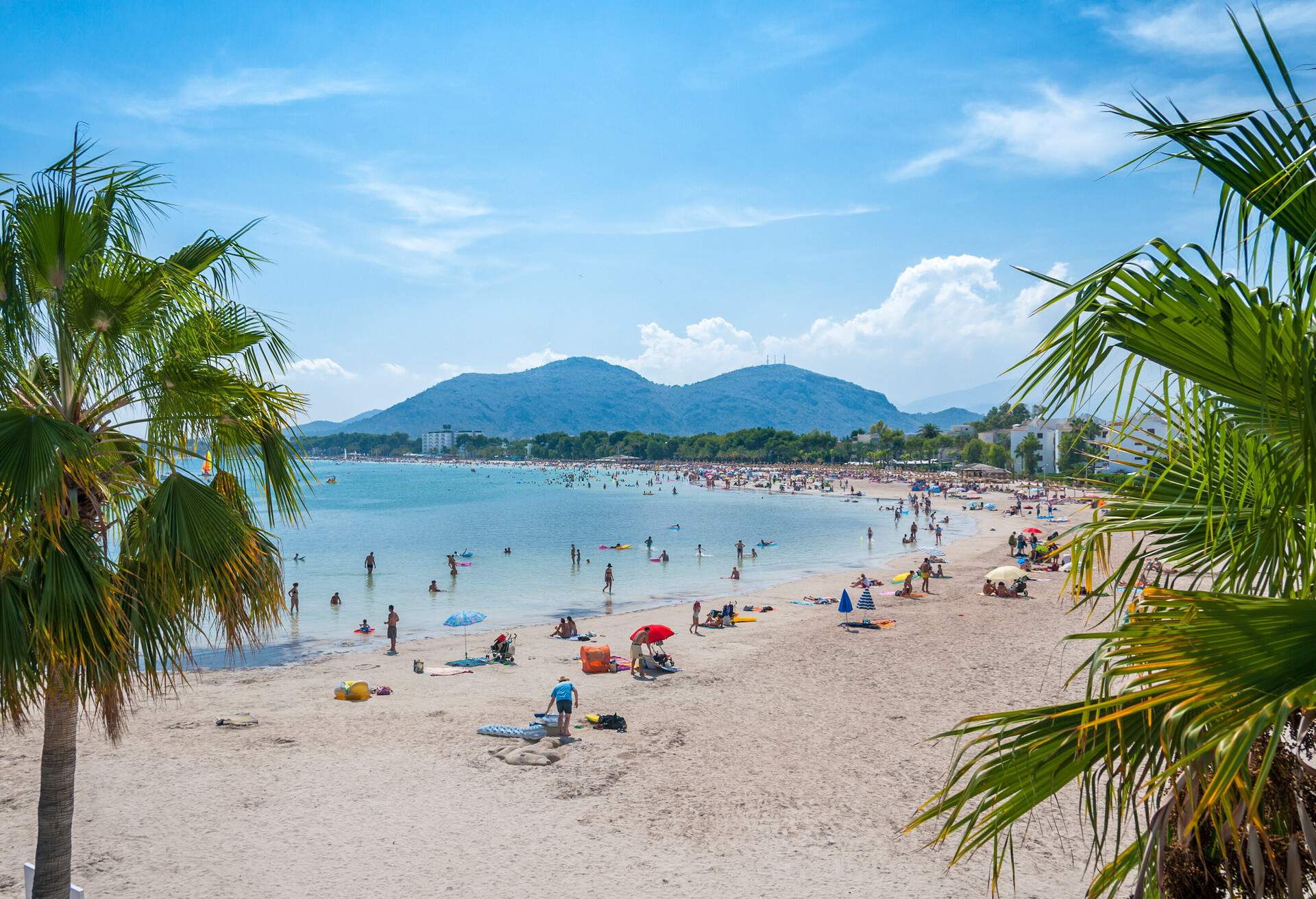 The beach of Alcudia at island of Mallorca