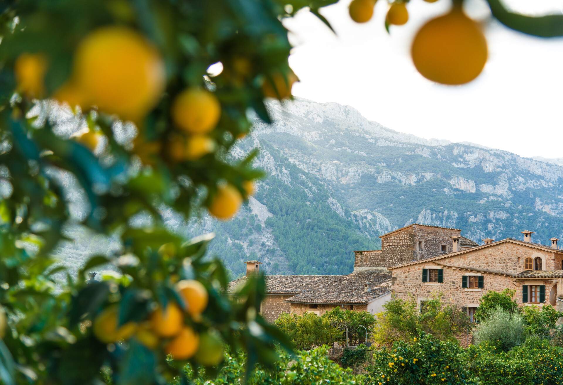 Typical view in the famous village Fornalutx near Soller. In Mallorca, Spain.