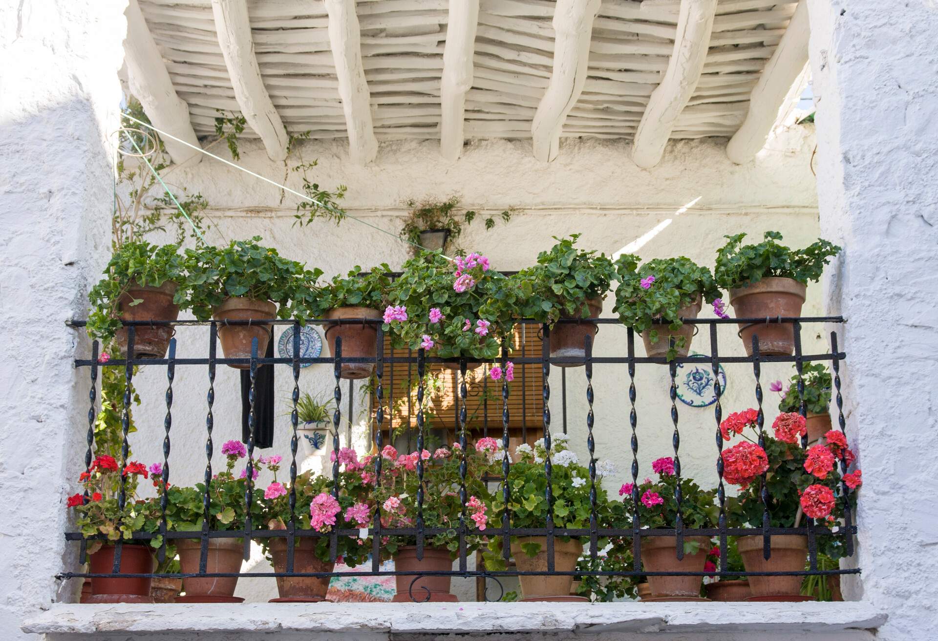 Balcony full of flowers in village of Pampaneira, Las Alpujarras, Granada, Andalusia, Spain.