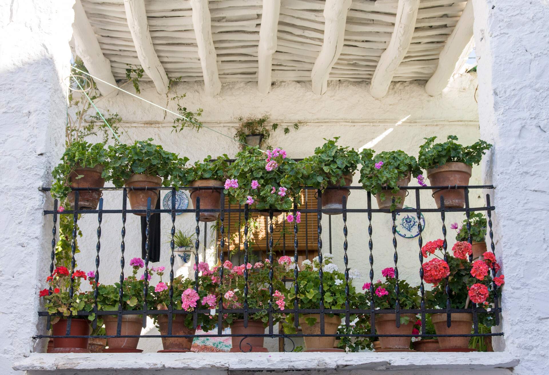 SPAIN_PAMPANEIRA_BALCONY_FLOWERS