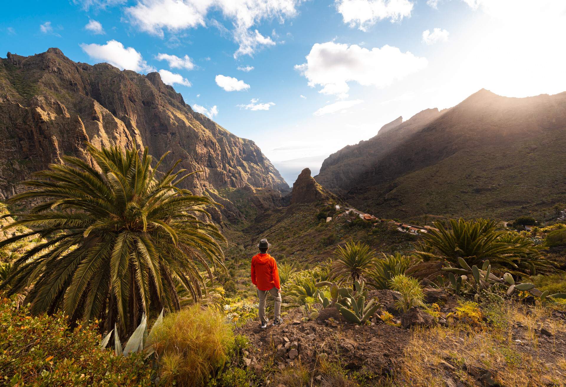 SPAIN_TENERIFE_Barranco_de_-Masca