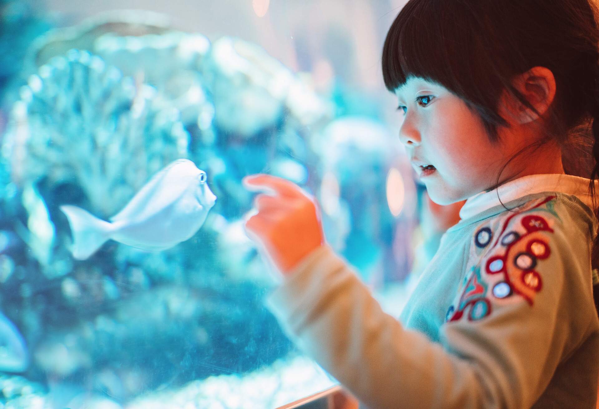 PEOPLE_KID_GIRL_AQUARIUM_FISH