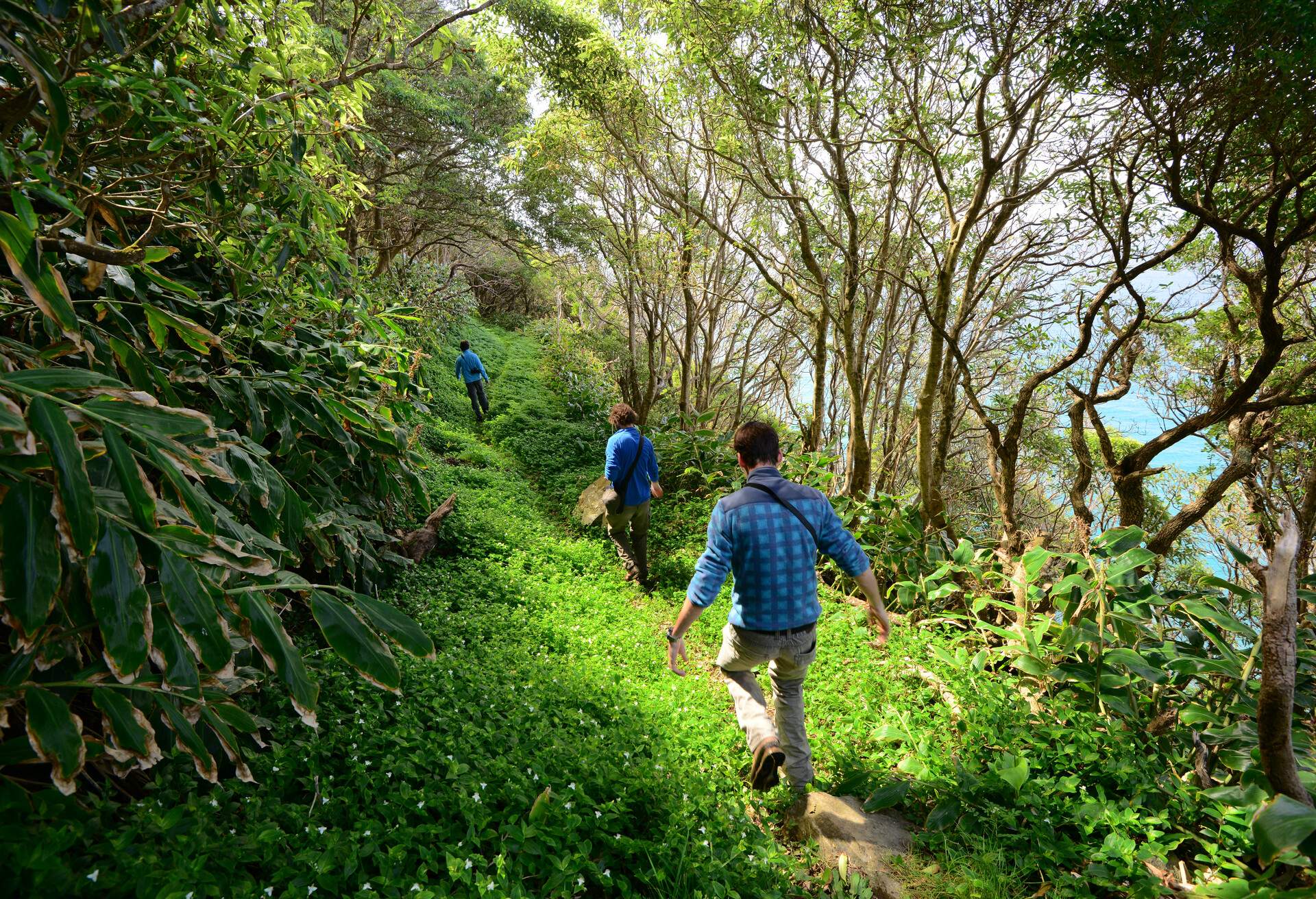 Descubre las islas Azores en tu luna de miel