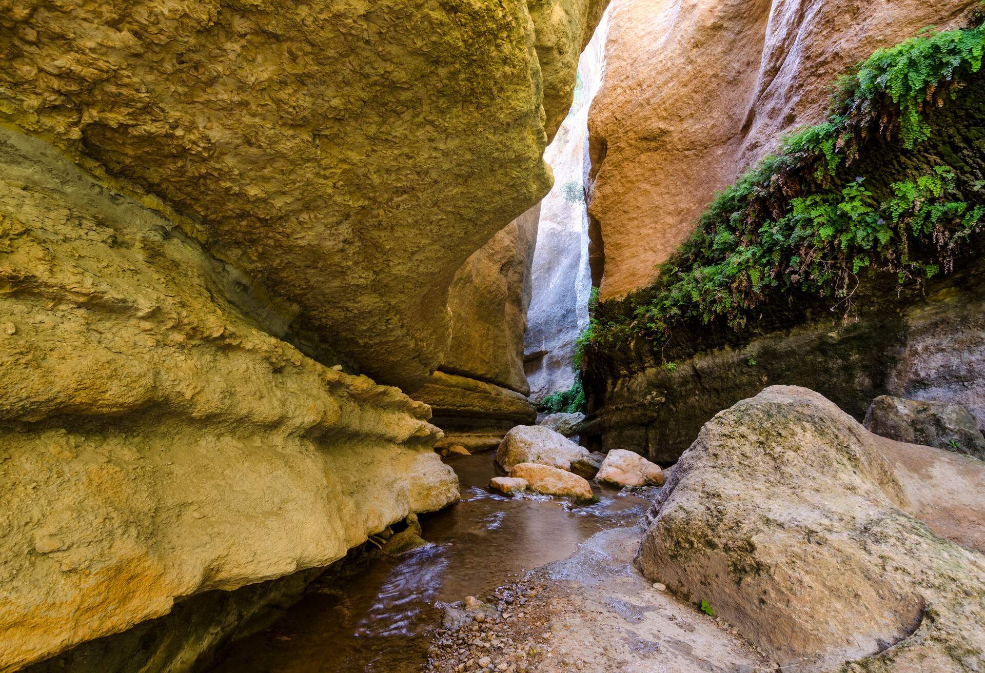 nature of Barranco de la Luna, Granada