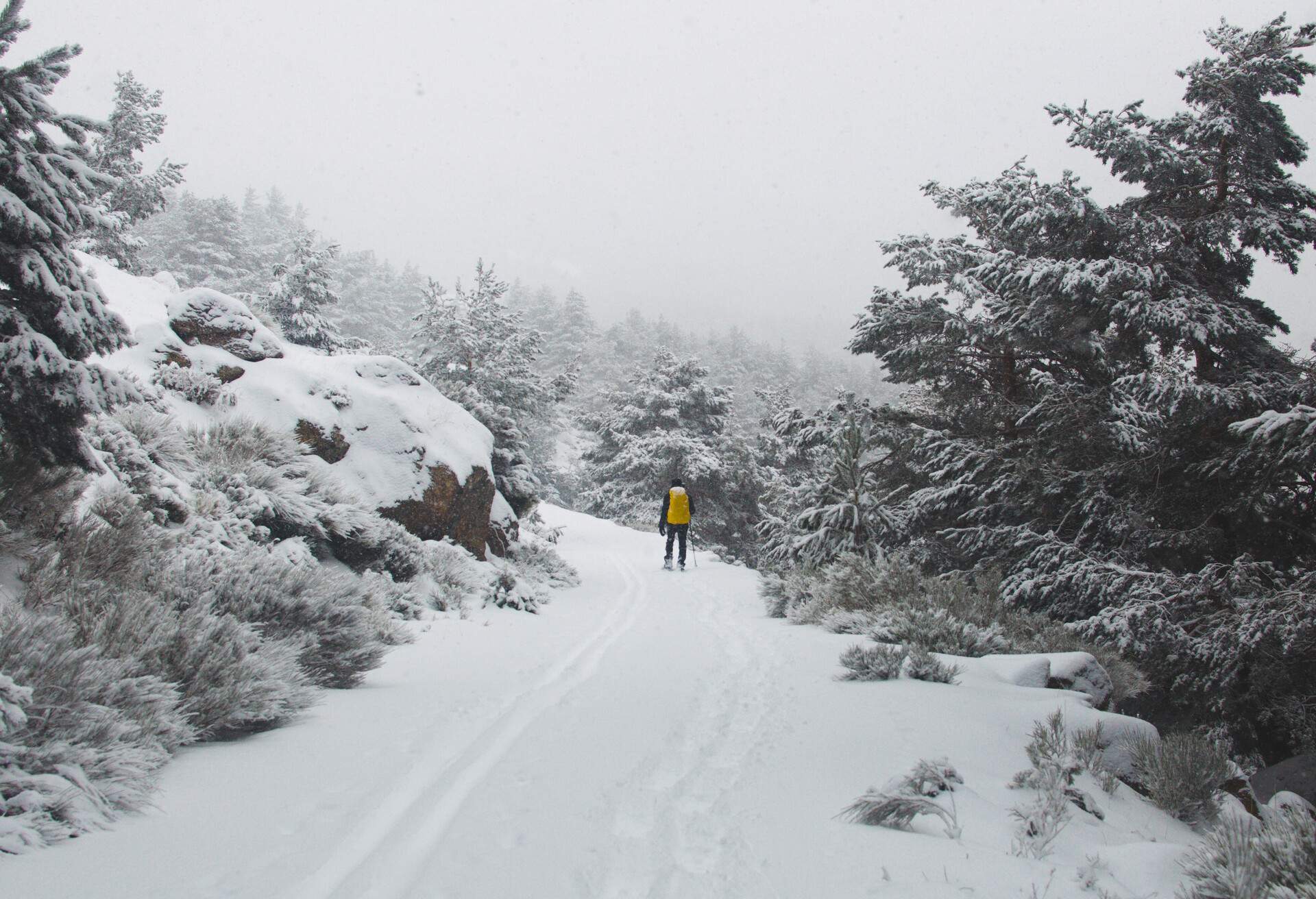 SPAIN_MADRID_SIERRA-DE-GUADARRAMA