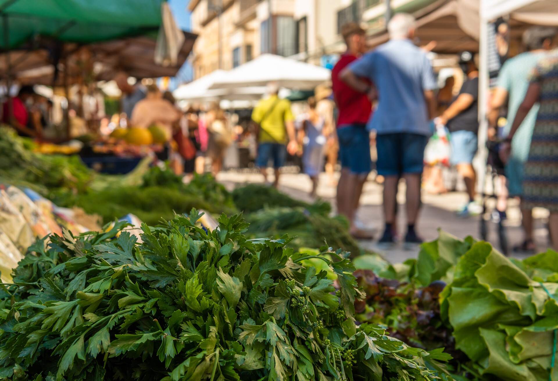 Close-up of bunches of green celery in a street market on the island of Mallorca. In the background, unrecognizable people shopping at the market