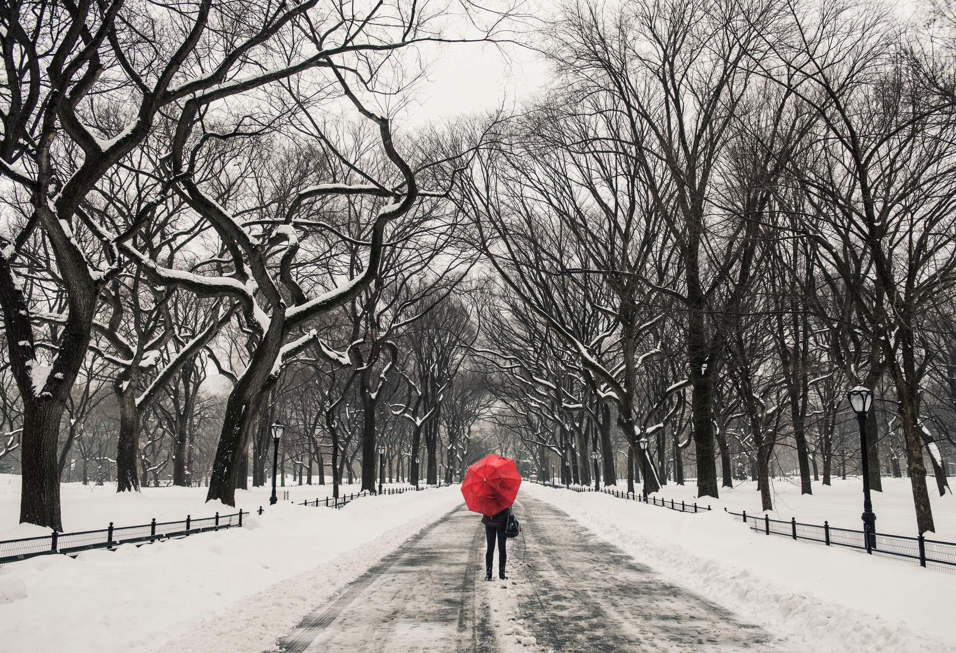 Woman walking in the snow at Central Park, New York, USA
