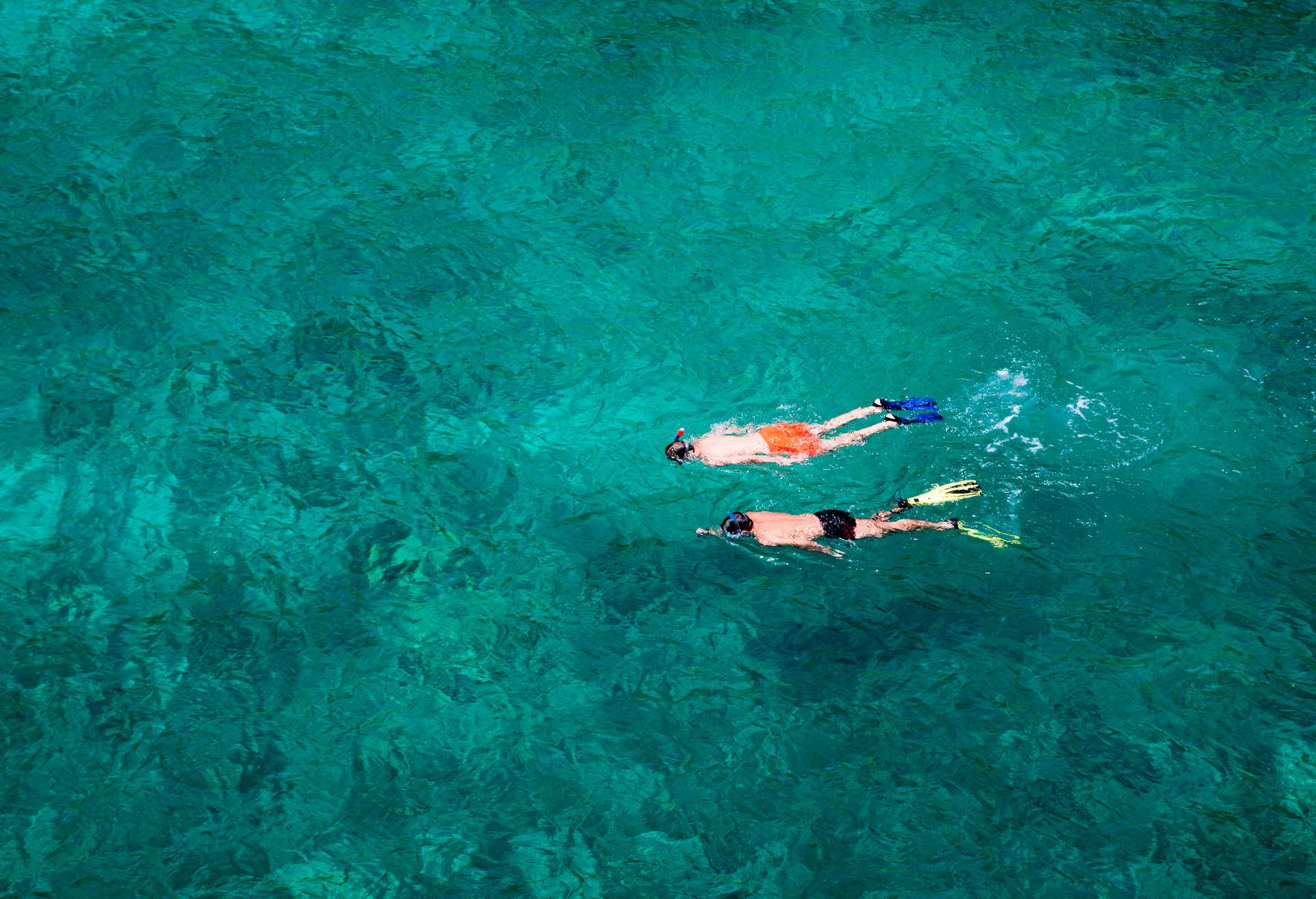 Two men snorkel in crystal clear water at Cala Pi bay, Cala Pi, Mallorca, Balearic Islands, Spain