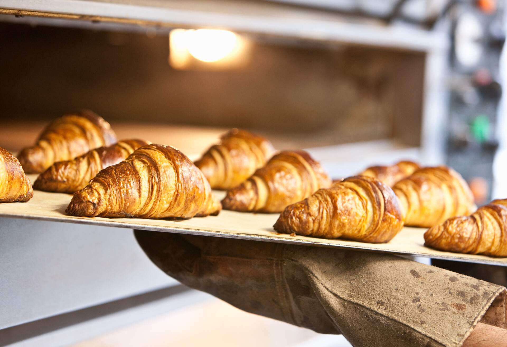 Artisan baker removes tray of freshly baked croissants from the oven.