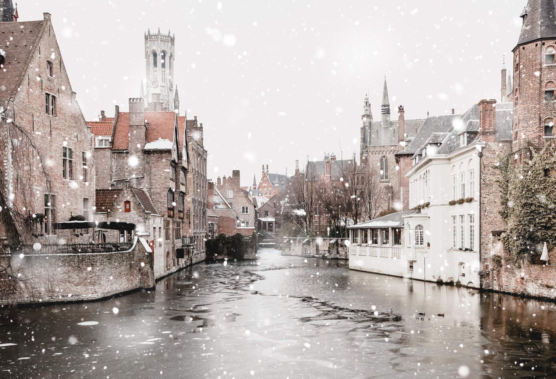 Bruges, Belgium canals view in winter snowfall. Stunning fairy landscape with historical buildings and calm icy water. Christmas mood. Monochromatic neutral tones with natural light