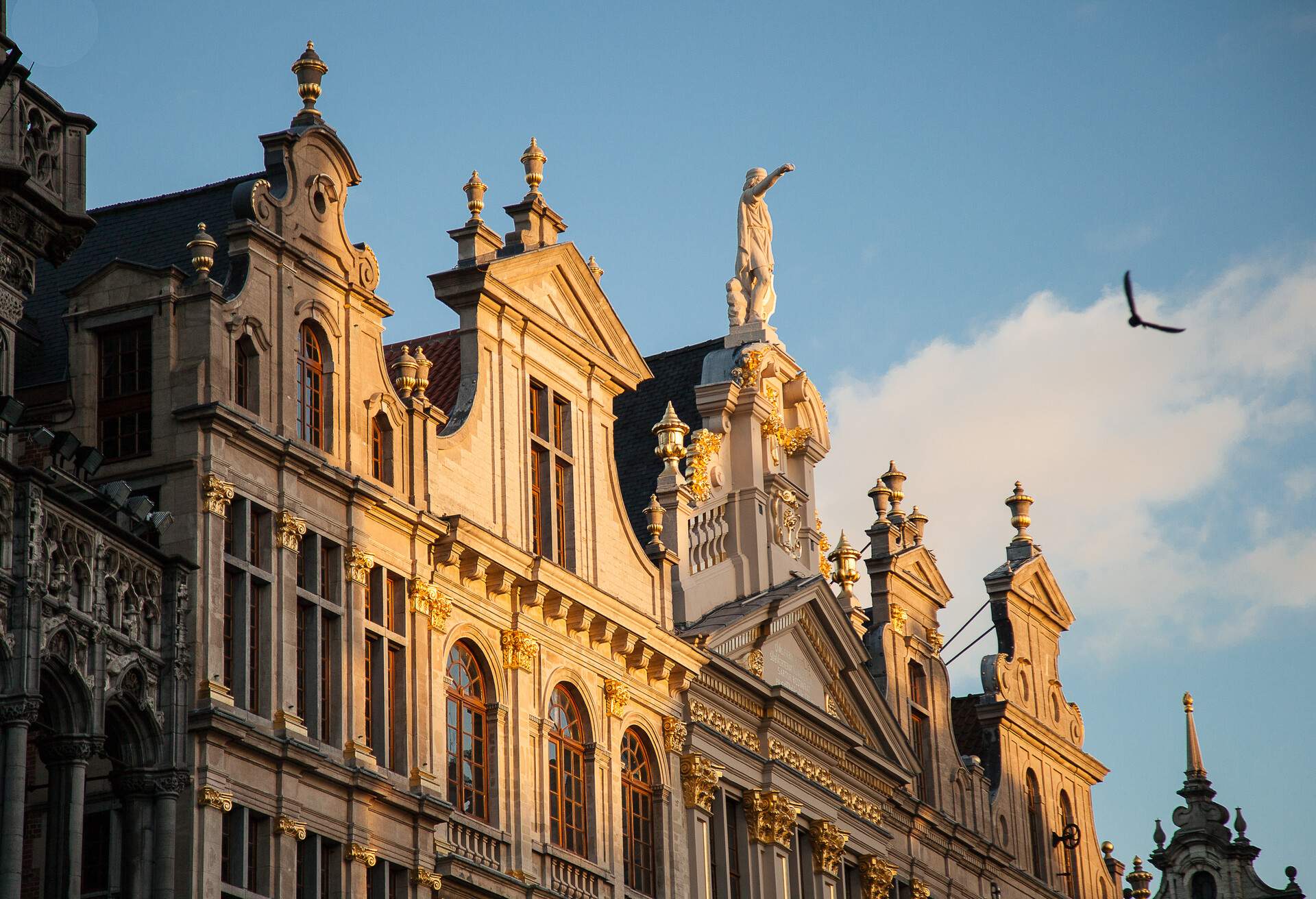 BELGIUM_BRUSSELS_GROTE_MARKT_SQUARE