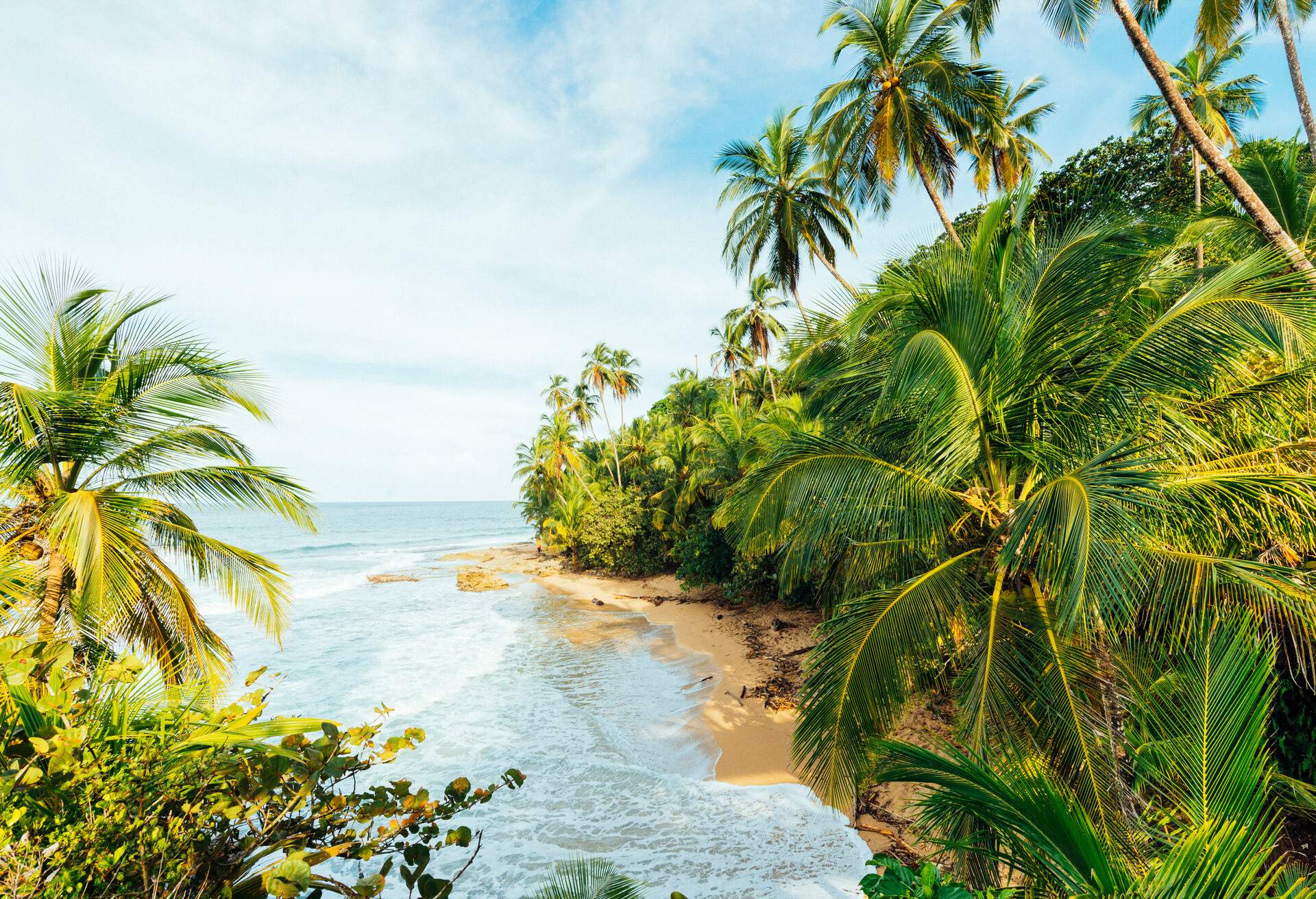 This is a horizontal, color, royalty free stock photograph of a tranquil bay in a remote tropical beach along the Caribbean coast in the Limon province of Costa Rica. This idyllic landscape is part of the Gandoca Manzanillo National Park. Palm trees line the shore of the sea. Photographed from a high angle view with a Nikon D800 DSLR camera.