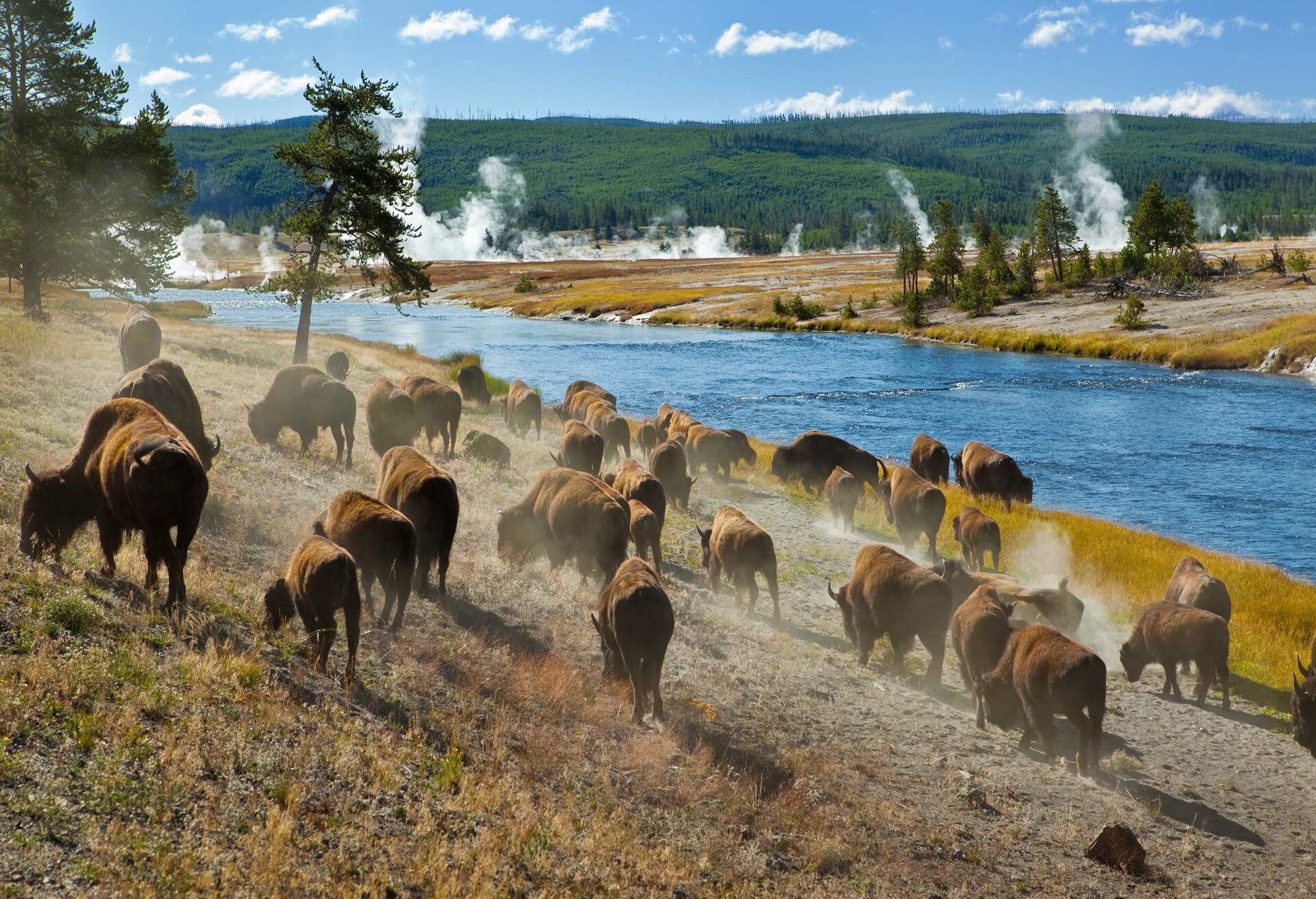 DEST_USA_WYOMING_YELLOWSTONE NATIONAL PARK_FIREHOLE RIVER_shutterstock-premier_47311708