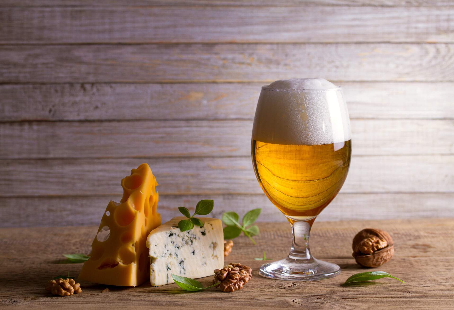 Beer and cheese. Glass of beer with cheese, walnuts and basil on wooden background. Ale and food concept
