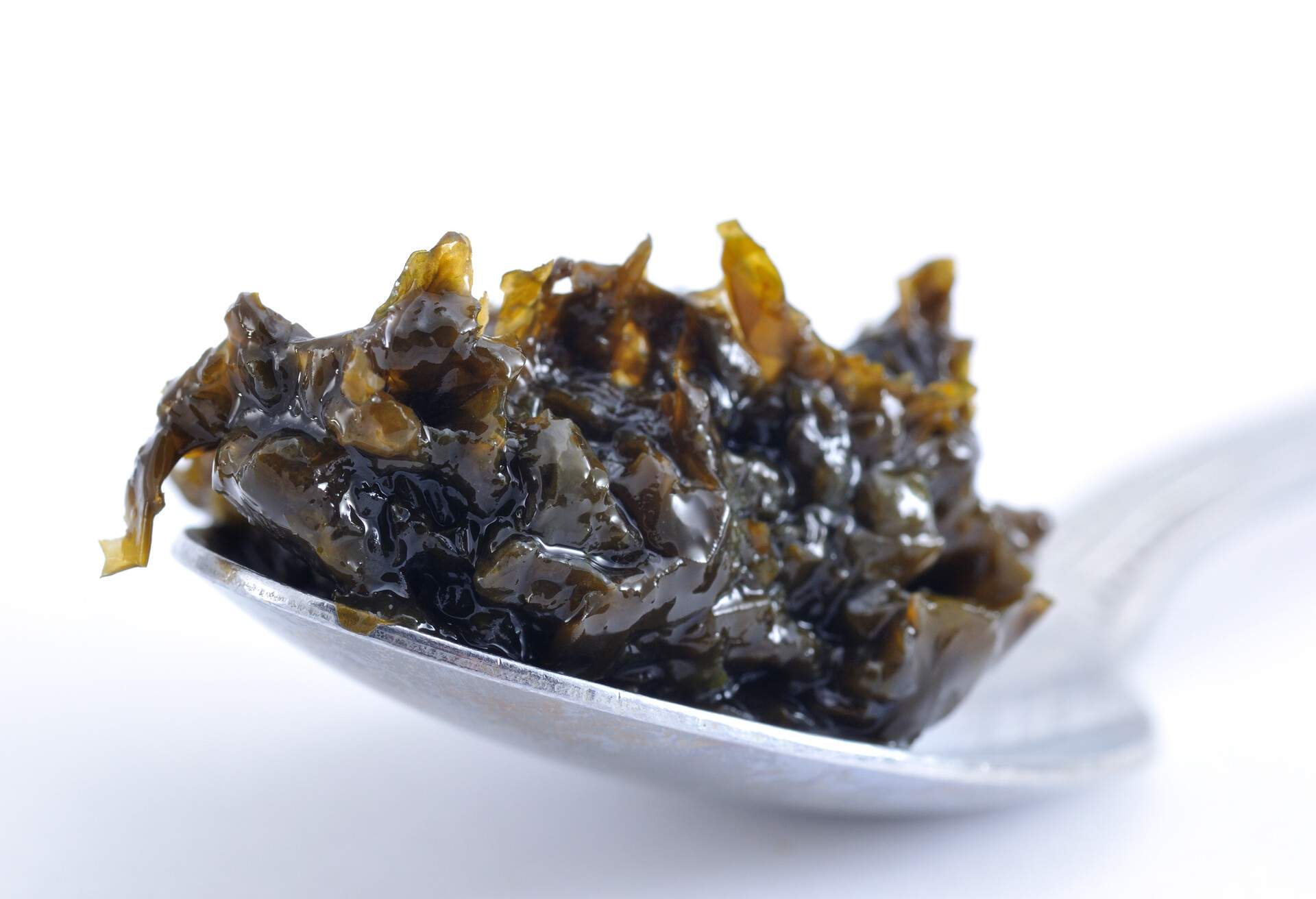 A close up shot of laverbread, on a spoon, a Welsh food made out of seaweed.