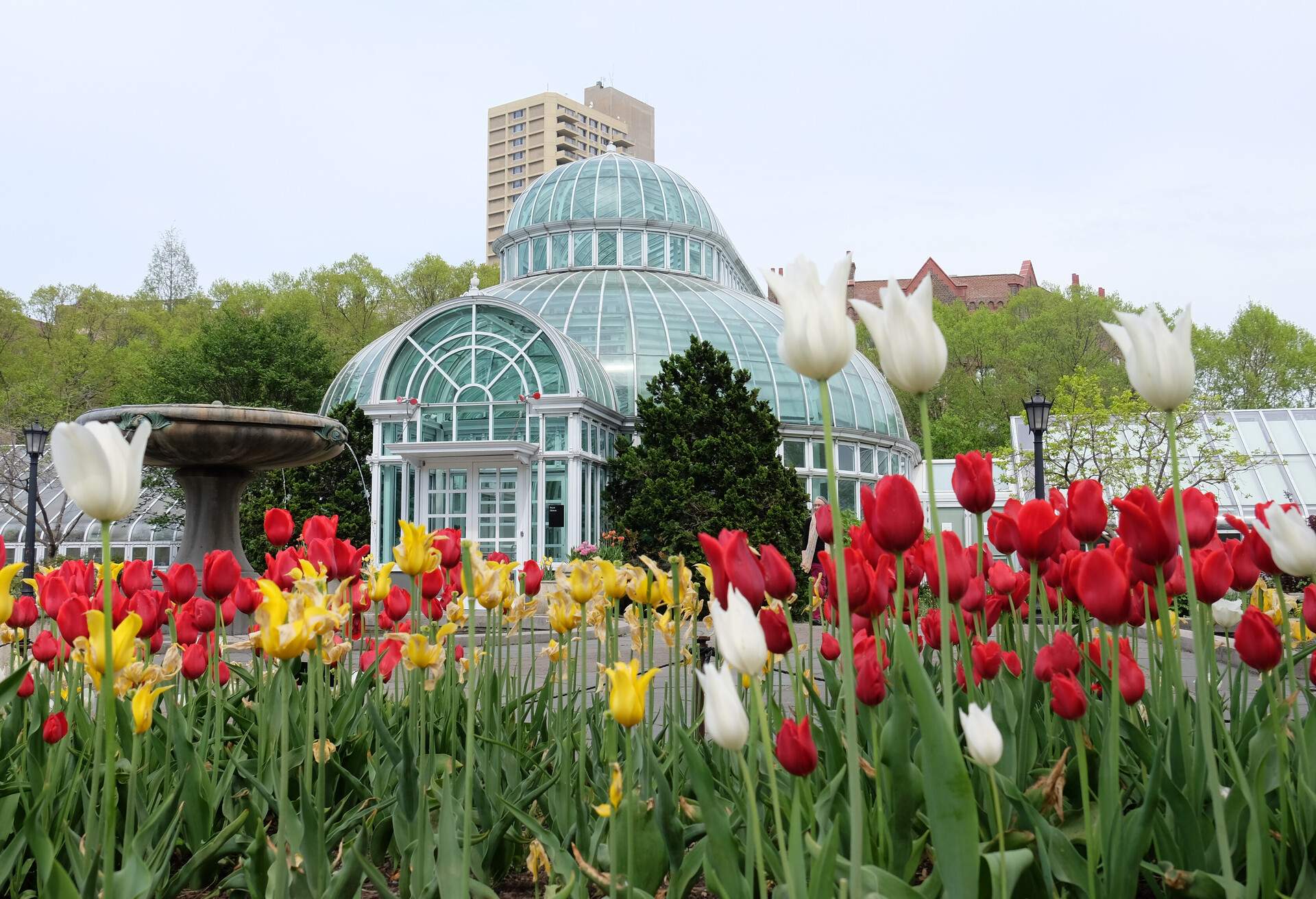 DEST_USA_NEW YORK_BROOKLYN_BOOKLYN BOTANIC GARDEN-shutterstock-premier_1126411778