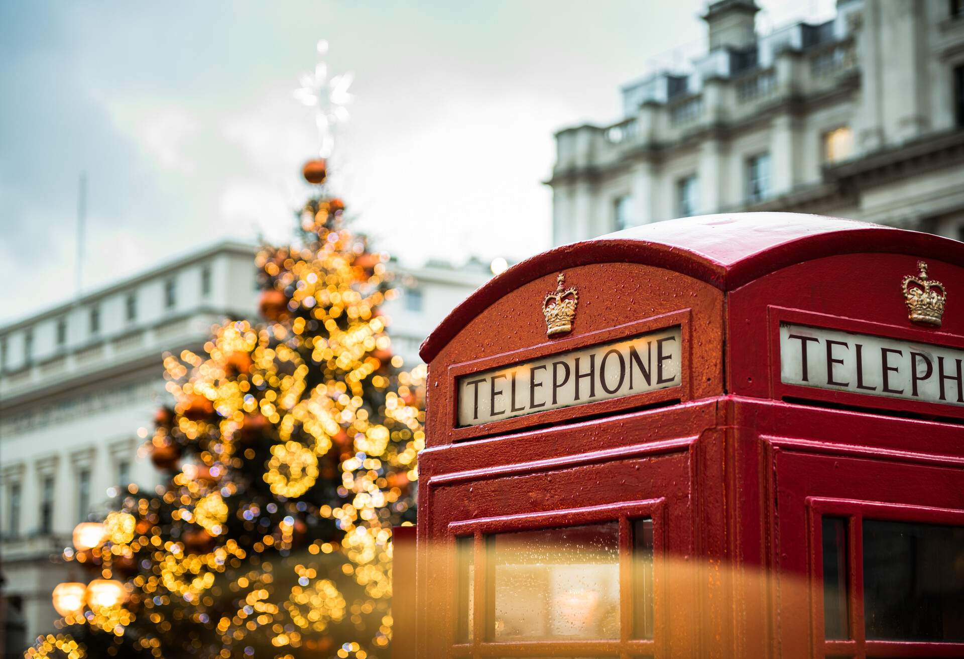 Phone booth and Christmas tree in London, United Kingdom. 