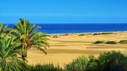 Coches de alquiler en Maspalomas