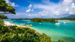 Coches de alquiler en Ishigaki