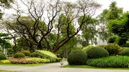 Coches de alquiler en Makati