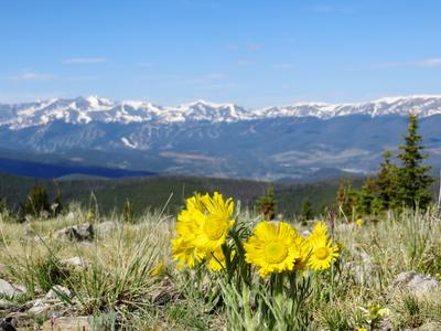 Keystone