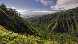 Encuentra vuelos baratos a Kahului