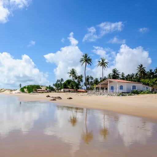 Natal