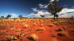 Hoteles cerca de Aeropuerto Yulara Ayers Rock Connellan