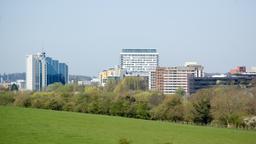Coches de alquiler en Basingstoke