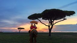 Encuentra vuelos baratos a Phuket