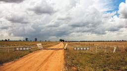 Coches de alquiler en Dubbo