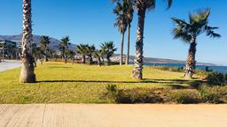 Coches de alquiler en Nador