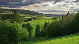 Coches de alquiler en Skellefteå