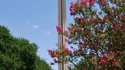 Hoteles en San Antonio próximos a Torre de las Américas