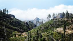 Coches de alquiler en Alajeró