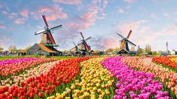 Coches de alquiler en Alkmaar