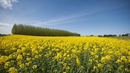 Coches de alquiler en Cambrai