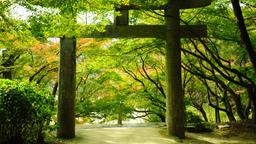Coches de alquiler en Chikushino