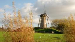 Coches de alquiler en Hoofddorp
