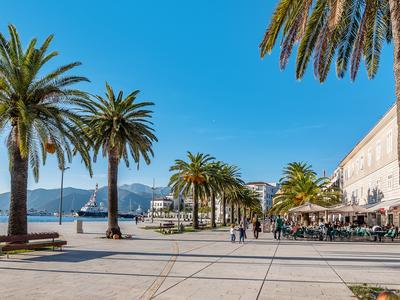 Tivat