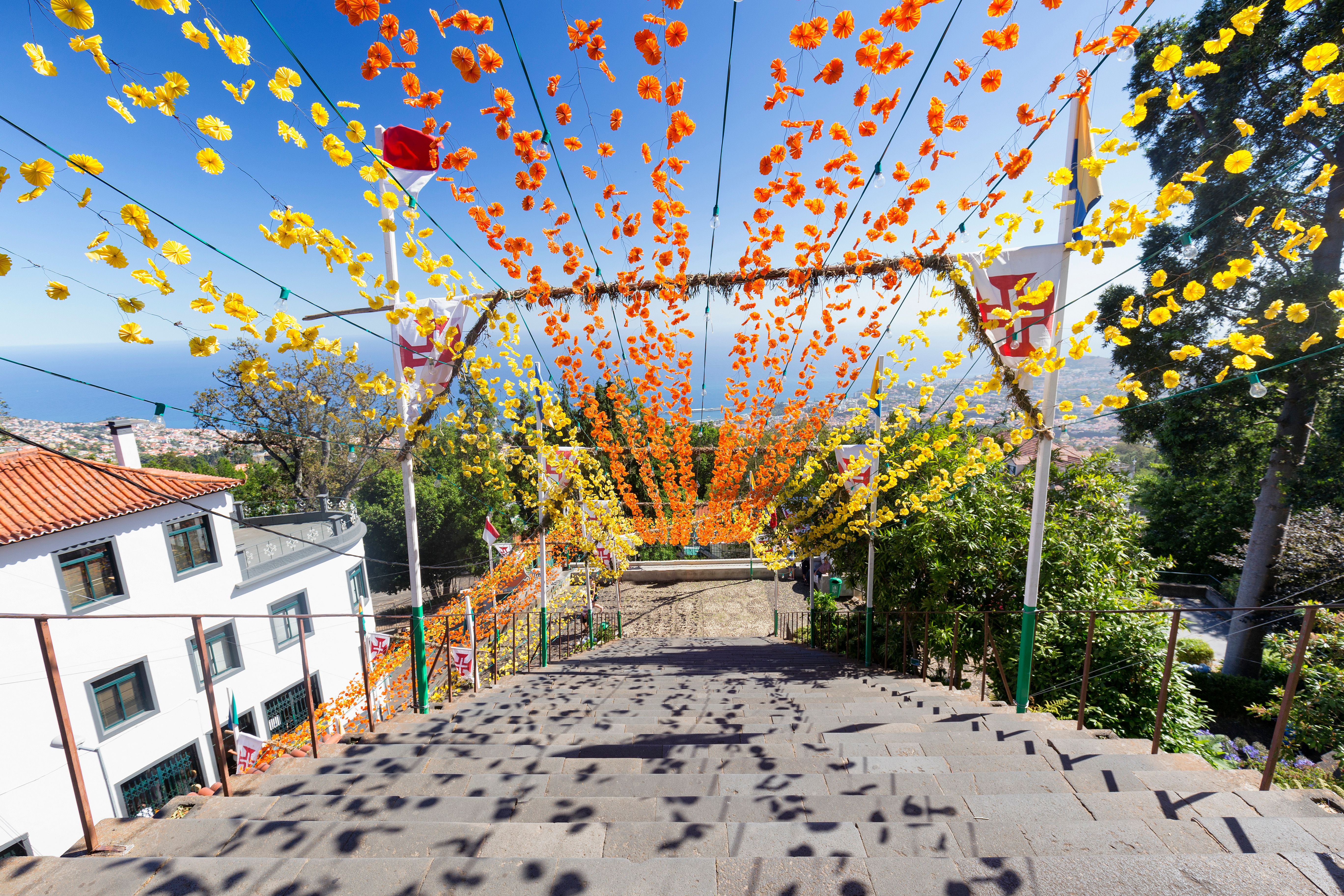 Encuentra vuelos baratos a Funchal