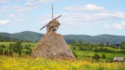 Encuentra vuelos baratos de Galicia a Ucrania