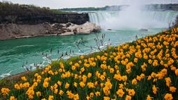 Hoteles en Niagara Falls