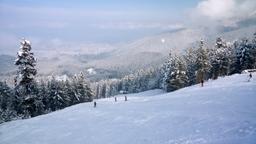 Coches de alquiler en Bansko