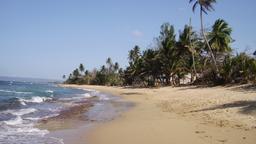 Directorio de hoteles en Mayagüez