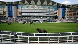 Hoteles cerca de Qipco British Champions Day